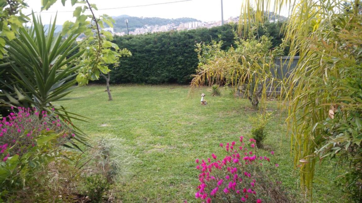Costa Blu Bed & Breakfast Agropoli Dış mekan fotoğraf